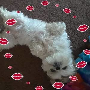 Meet your Posher, Terri